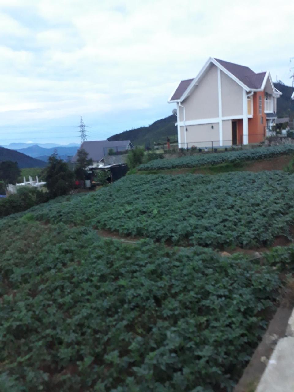Hotel Rainyfreindz Nuwara Eliya Exterior foto