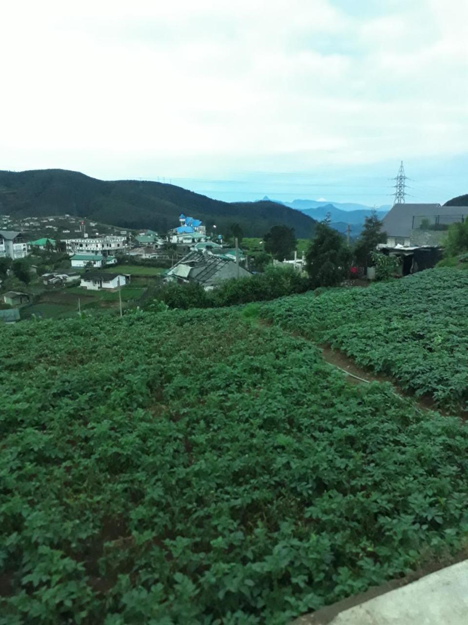 Hotel Rainyfreindz Nuwara Eliya Exterior foto
